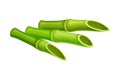 Cut and Hollow Green Bamboo Stalk Vector Illustration Royalty Free Stock Photo