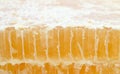 Cut Honey comb Royalty Free Stock Photo