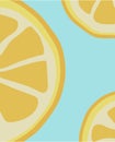 Cut lemon template card, slice fresh fruit poster on white background