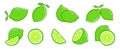 Cut lime. Fresh citrus fruit, slice and leaves. Isolated green lemon illustration, juicy organic fresh detox vitamin Royalty Free Stock Photo