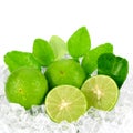 Cut lime (Citrus aurantifolia (Christm.) Swingle) and ice on wh Royalty Free Stock Photo