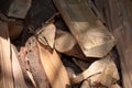 Cut log pile in sunlight