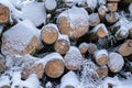 Cut logs covered with snow. Logs in a snow covered forest, firewood for a stove.
