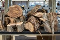 Cut Logs at Dendrochronology Lab studying Tree Rings Royalty Free Stock Photo