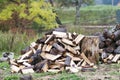 Cut logs fire wood. Renewable resource of energy. Environmental Royalty Free Stock Photo