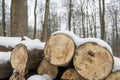 Cut logs firewood close up stacked piled up wood winter snow Royalty Free Stock Photo