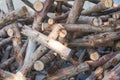 Cut logs pile used in dark tone Royalty Free Stock Photo