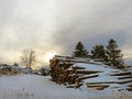 Timber logs cut and stacked up under winter sunset