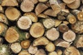 Cut Logs