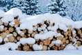 Cut logs in a winter wood under snowdrifts Royalty Free Stock Photo