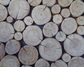 Cut logs, wood background