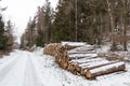 Cut lumber logs covered in snow on the mountain Royalty Free Stock Photo