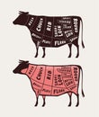 Cut of meat, beef. Poster butcher diagram and scheme, vector illustration