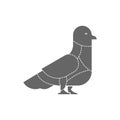 Cut of meat Dove. Pigeon silhouette scheme lines of different pa