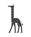 Cut of meat Giraffe. Camelopard silhouette scheme lines of different parts meat. How to cut flesh wild beast. Poster Butchers