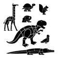 Cut of meat set beast Giraffe and squirrel. Dinosaur and pigeon