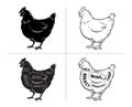 Cut of meat set. Poster Butcher diagram and scheme - Chicken. Vintage typographic hand-drawn Royalty Free Stock Photo