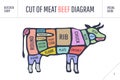 Cut of meat set. Poster Butcher diagram and scheme - Cow