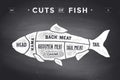 Cut of meat set. Poster Butcher diagram and scheme - Fish Royalty Free Stock Photo