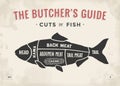 Cut of meat set. Poster Butcher diagram and scheme - Fish. Vintage typographic hand-drawn Royalty Free Stock Photo