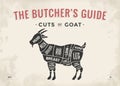 Cut of meat set. Poster Butcher diagram, scheme - Goat