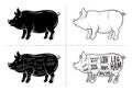 Cut of meat set. Poster Butcher diagram, scheme and guide - Pork. Vintage typographic hand-drawn on a black chalkboard