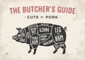 Cut of meat set. Poster Butcher diagram, scheme and guide - Pork. Vintage typographic hand-drawn. Vector illustration. Royalty Free Stock Photo