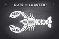 Cut of meat set. Poster Butcher diagram and scheme - Lobster Royalty Free Stock Photo