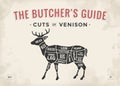 Cut of meat set. Poster Butcher diagram, scheme - Venison