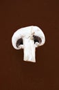 Cut mushroom on a dark brown background