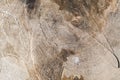 Cut oak surface closeup Royalty Free Stock Photo