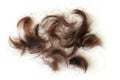 Cut off brown hair dry and split ends in the barber shop on white background.