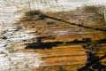 A cut of Old wooden oak tree surface. Detailed warm dark brown and orange tones of a felled tree trunk or stump. Rough Royalty Free Stock Photo