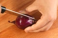 Cut onion to make vegetable soup Royalty Free Stock Photo