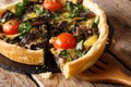 Cut open mushroom pie with cheese and tomatoes close-up. horizon Royalty Free Stock Photo