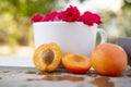 Cut orange plums, apricots lying on wet, wooden board, white cup, bowl with roses behind. Royalty Free Stock Photo