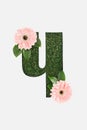 Cut out cyrillic letter of green grass with pink gerberas isolated on white.