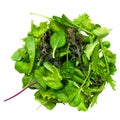 Cut out green vegetables and herbs Royalty Free Stock Photo