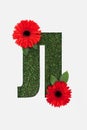 Cut out letter from cyrillic alphabet made of natural grass and with red bright gerberas isolated on white.