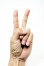 Cut-out shot of a hand holding up number two sign. Fingers with peace symbol on white background Royalty Free Stock Photo