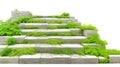 Cut out stairs made of large stone steps Royalty Free Stock Photo