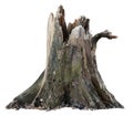 Cut out tree stump. Broken tree Royalty Free Stock Photo