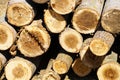 Cut out tree trunks Royalty Free Stock Photo