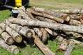 Cut out tree trunks Royalty Free Stock Photo