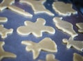 Cut-out unbaked, undecorated Christmas cookies on a silver cookie sheet Royalty Free Stock Photo