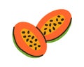 Cut papaya halves. Exotic pawpaw with black seeds, flesh, cross-section. Natural tropical food, papaw. Healthy vitamin