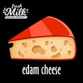 Cut piece of cheese edam vector isolated on black background