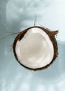 A cut piece of coconut, tropical healthy food