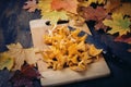 Cut into pieces raw chanterelle mushrooms lying on wooden cuttin