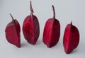 Cut into pieces red beet isolated on white background Royalty Free Stock Photo